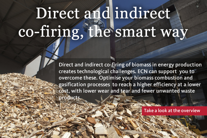 Direct and indirect co-firing, the smart way